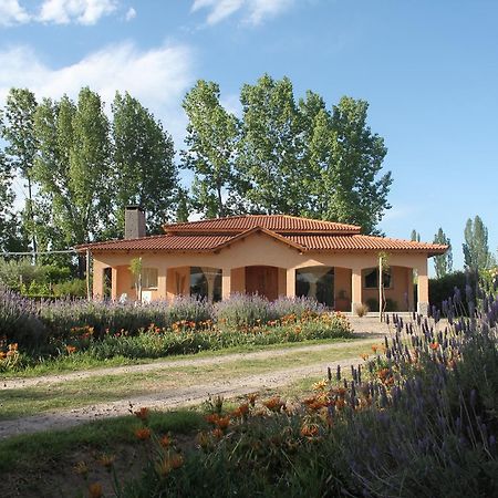 Casona Aventurados Villa Lujan de Cuyo Buitenkant foto