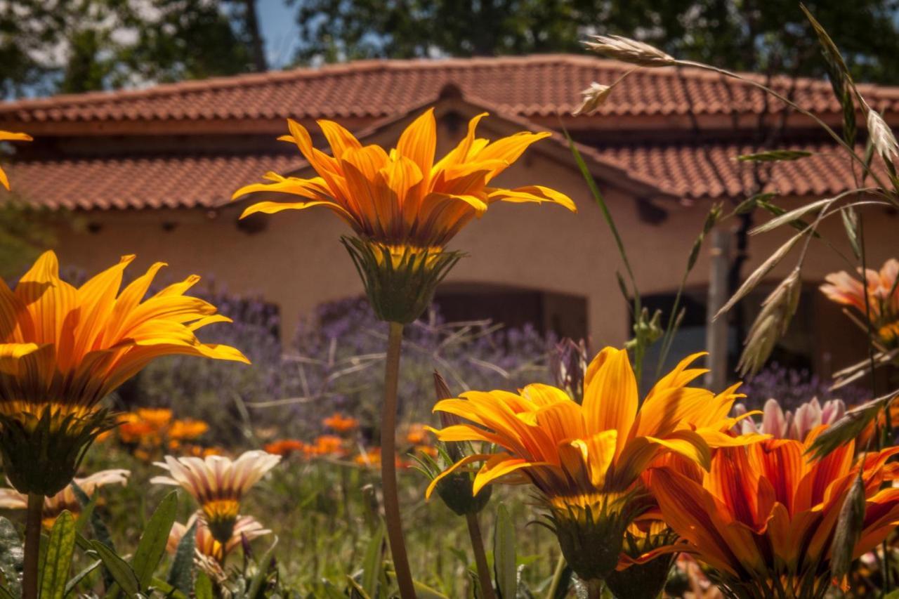 Casona Aventurados Villa Lujan de Cuyo Buitenkant foto