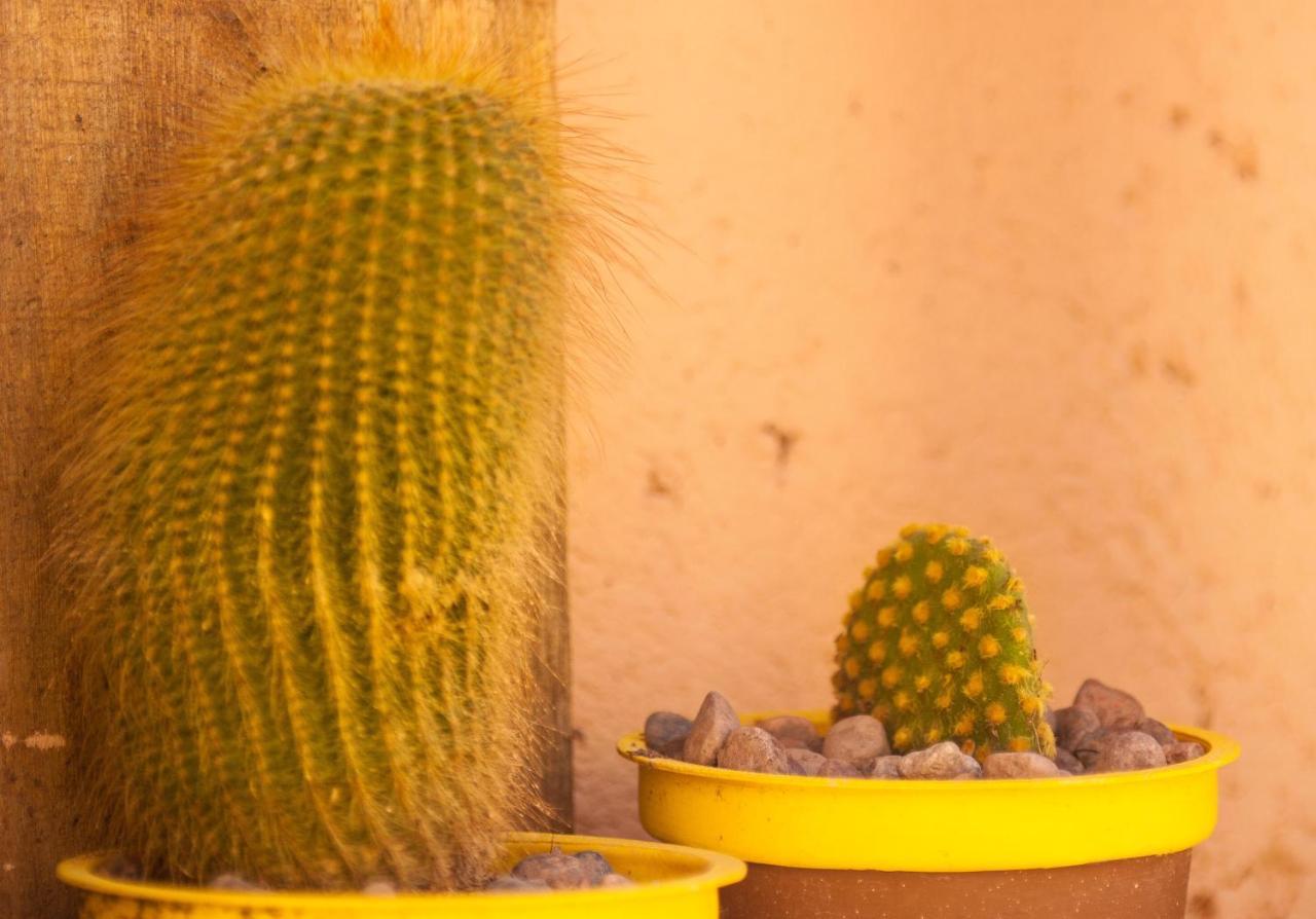 Casona Aventurados Villa Lujan de Cuyo Buitenkant foto